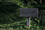 nEO_IMG_IMG_7429