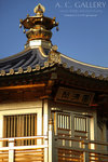 nEO_IMG_IMG_7437