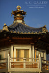 nEO_IMG_IMG_7440