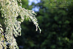 nEO_IMG_IMG_7448