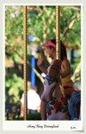 IMG_7617
