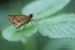 nEO_IMG_IMG_6336