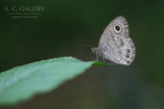 nEO_IMG_IMG_6365