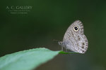 nEO_IMG_IMG_6367