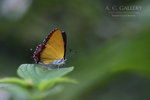 nEO_IMG_IMG_6385