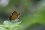 nEO_IMG_IMG_6386