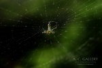 nEO_IMG_IMG_6476
