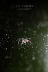 nEO_IMG_IMG_6530a