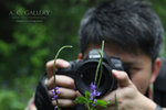 nEO_IMG_IMG_6617