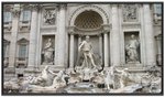 IMG_0101