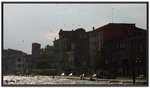 IMG_0127