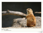 nEO_IMG_Korea 286