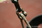nEO_IMG_IMG_4050