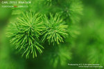 nEO_IMG_IMG_4060