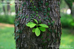 nEO_IMG_IMG_4061