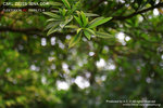 nEO_IMG_IMG_4064