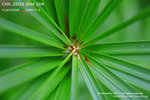 nEO_IMG_IMG_4075