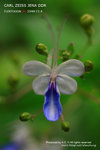 nEO_IMG_IMG_4076