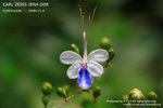 nEO_IMG_IMG_4080