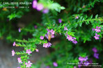 nEO_IMG_IMG_4109