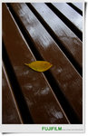 nEO_IMG_F 382