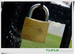 nEO_IMG_F 385