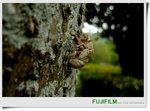 nEO_IMG_F 406