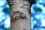 nEO_IMG_IMG_3876