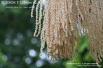 nEO_IMG_IMG_4142