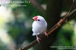 nEO_IMG_IMG_4160