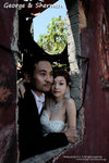 nEO_IMG_IMG_0462