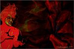 aIMG_1779_nEO_IMG
