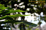 IMG_2602_nEO_IMG