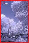 Infared1