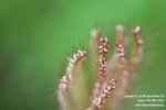 IMG_0547_nEO_IMG