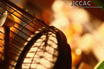 nEO_IMG_JCCAC 106