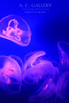 nEO_IMG_IMG_9321