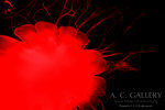 nEO_IMG_IMG_9428