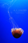 nEO_IMG_IMG_9544