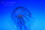 nEO_IMG_IMG_9567