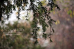 nEO_IMG_IMG_7112