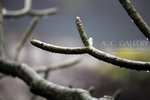 nEO_IMG_IMG_7114