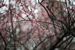 nEO_IMG_IMG_7127