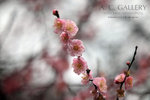 nEO_IMG_IMG_7157