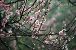 nEO_IMG_IMG_7162