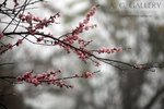nEO_IMG_IMG_7168