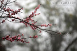 nEO_IMG_IMG_7170