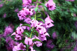 nEO_IMG_IMG_7228