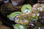 nEO_IMG_IMG_7238