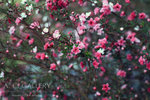 nEO_IMG_IMG_7248